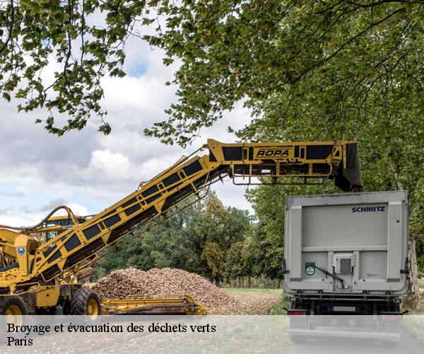 Broyage et évacuation des déchets verts -5