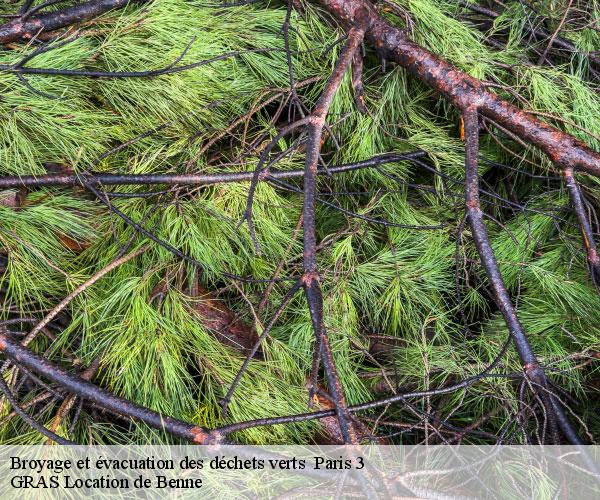 Broyage et évacuation des déchets verts -4