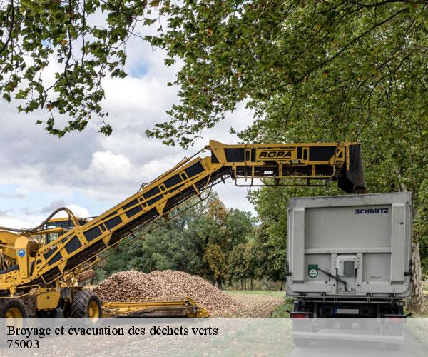 Broyage et évacuation des déchets verts -5