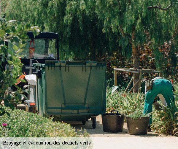 Broyage et évacuation des déchets verts -6
