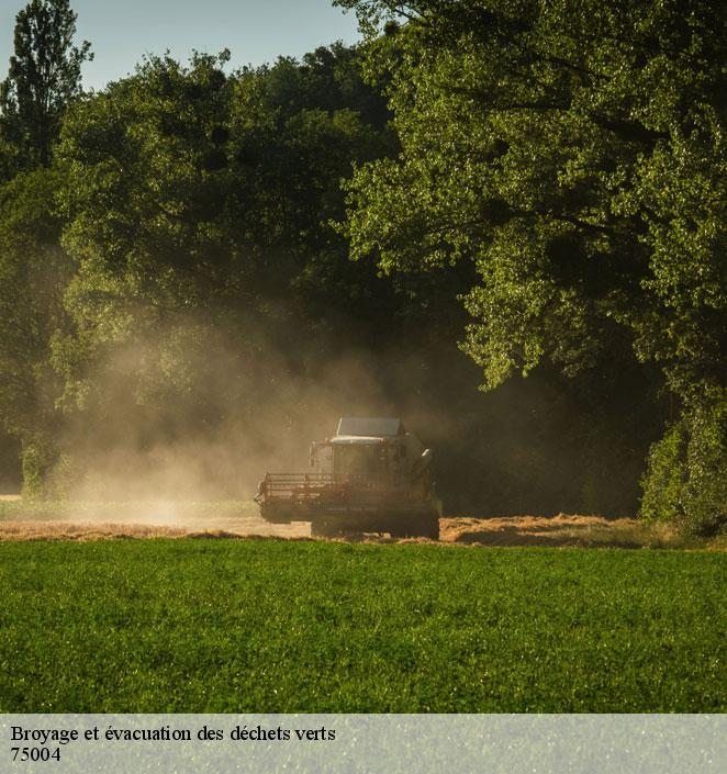 Broyage et évacuation des déchets verts -8