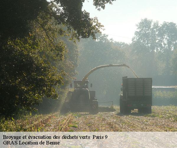 Broyage et évacuation des déchets verts -7